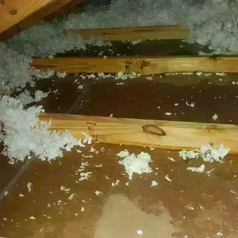 Attic Water Damage in Monroe County, MO