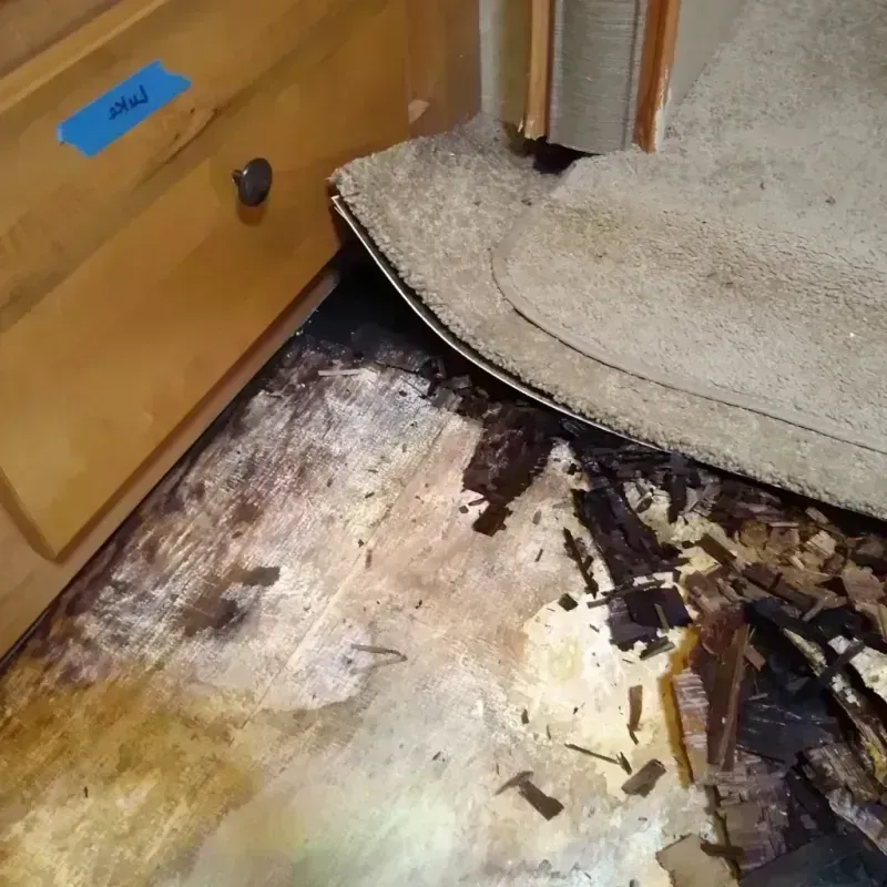 Best Wood Floor Water Damage Service in Monroe County, MO